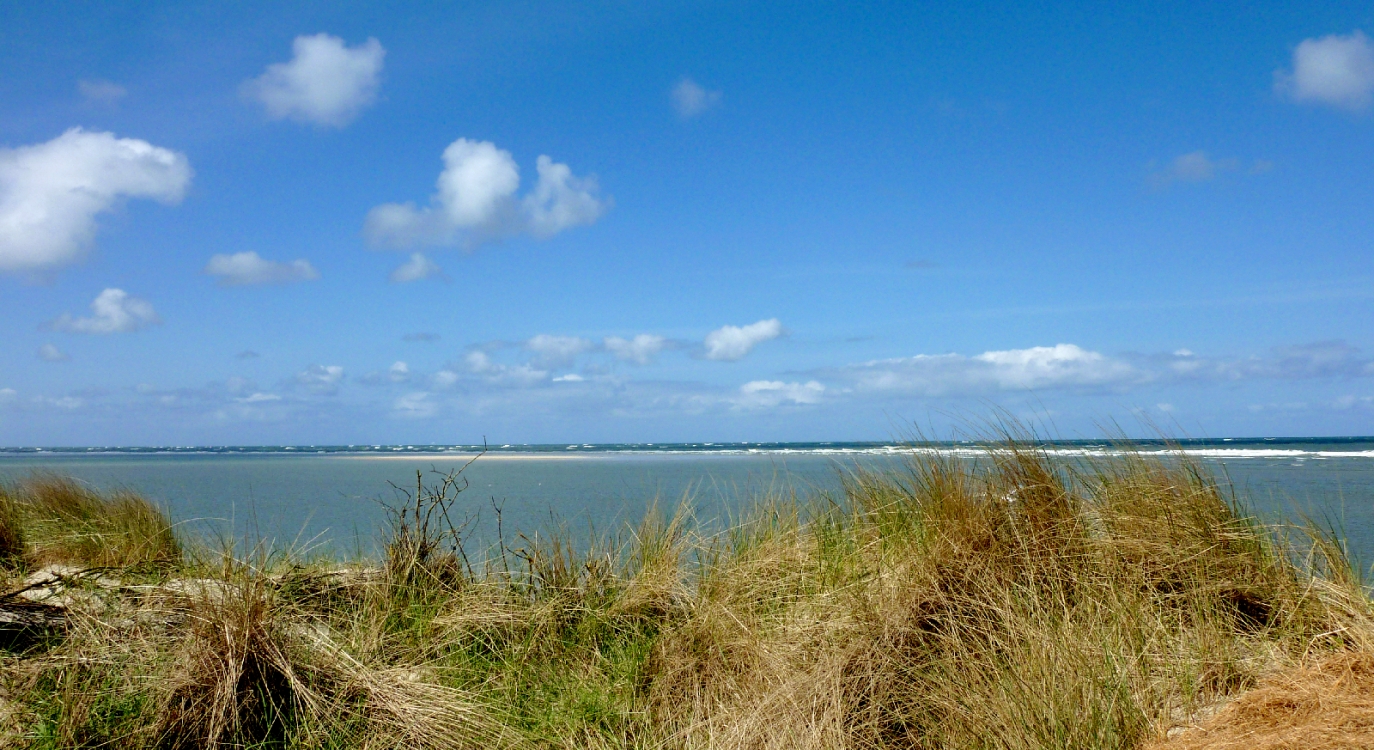 Wilhemlshaven, Nordsee, Strand, Friesland